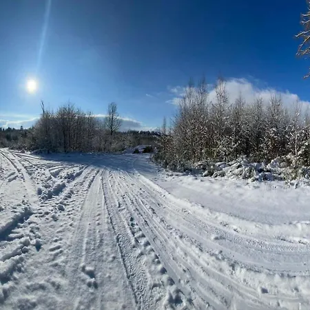 Ostoja Leśna Z Widokiem Na Góry Swiecie (Lower Silesia)