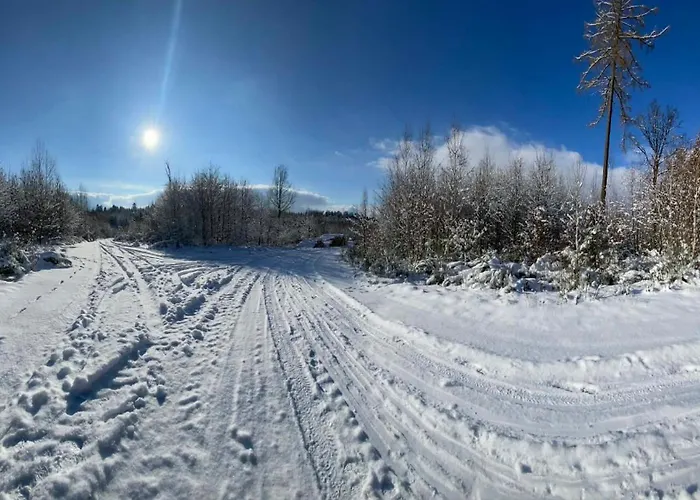 Ostoja Leśna Z Widokiem Na Góry Swiecie (Lower Silesia)